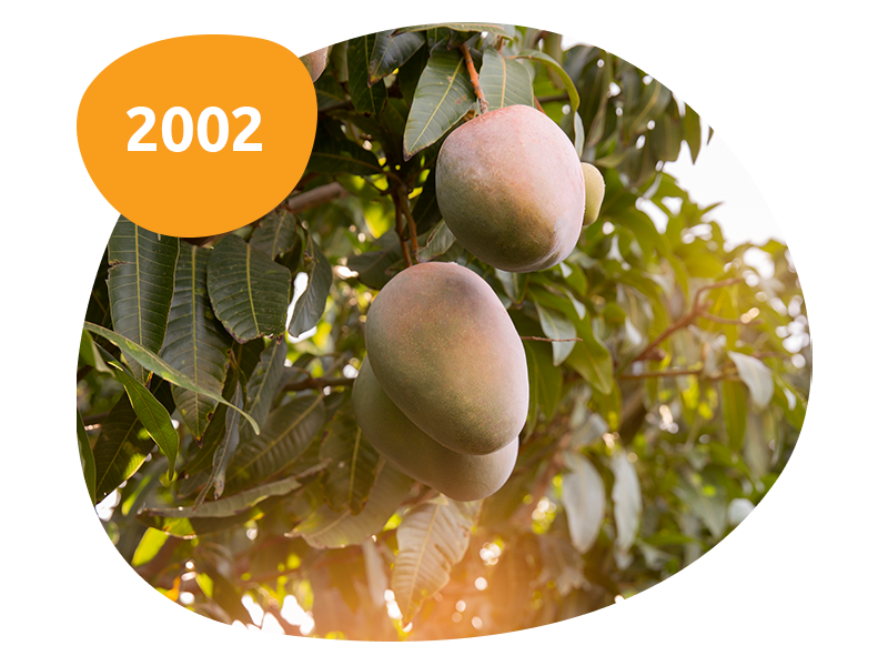 imagens_timeline_2002_final